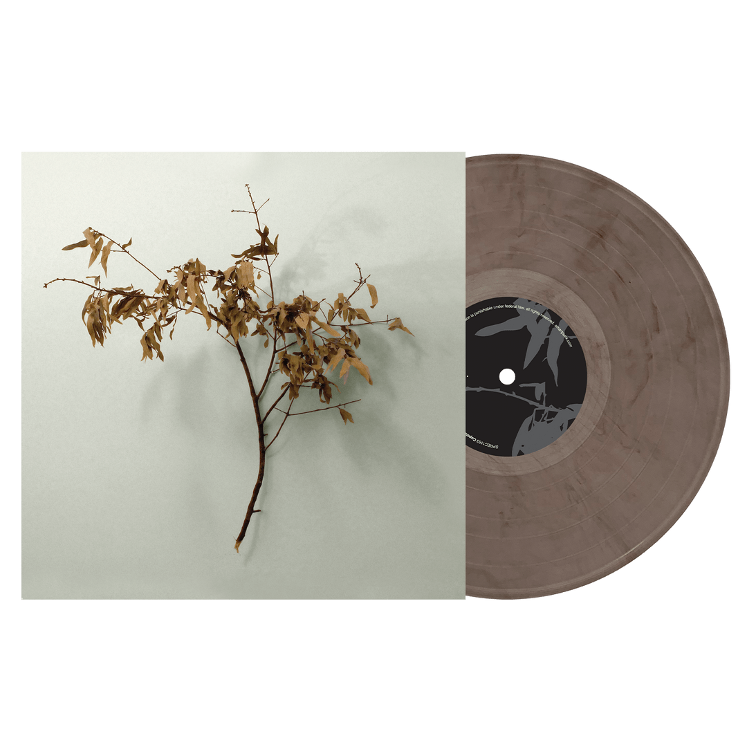 Copeland: In Motion: 20th Anniversary Edition: Truffle Color Vinyl LP - Steadfast Records