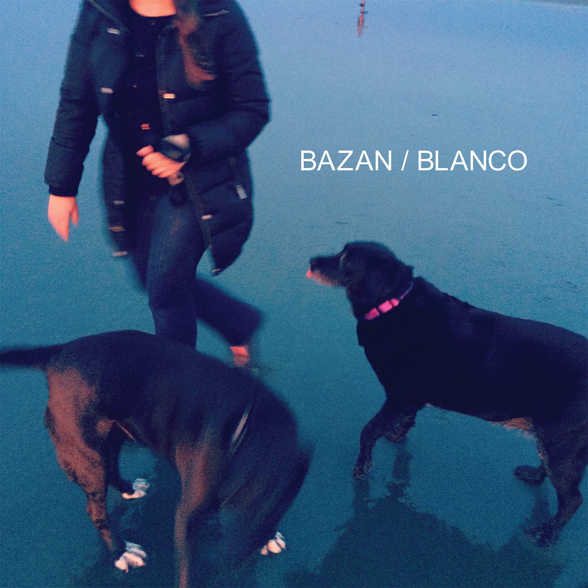 David Bazan: Blanco: Vinyl LP - Steadfast Records