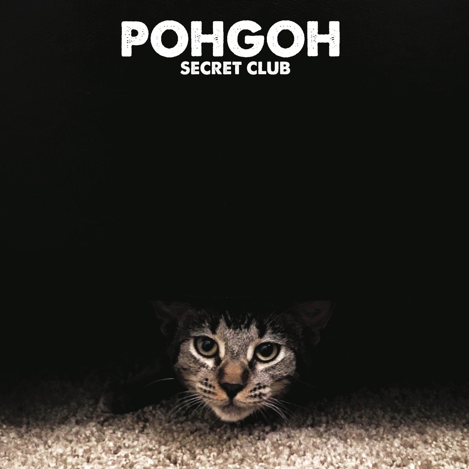 Pohgoh: Secret Club: Black Vinyl - Steadfast Records