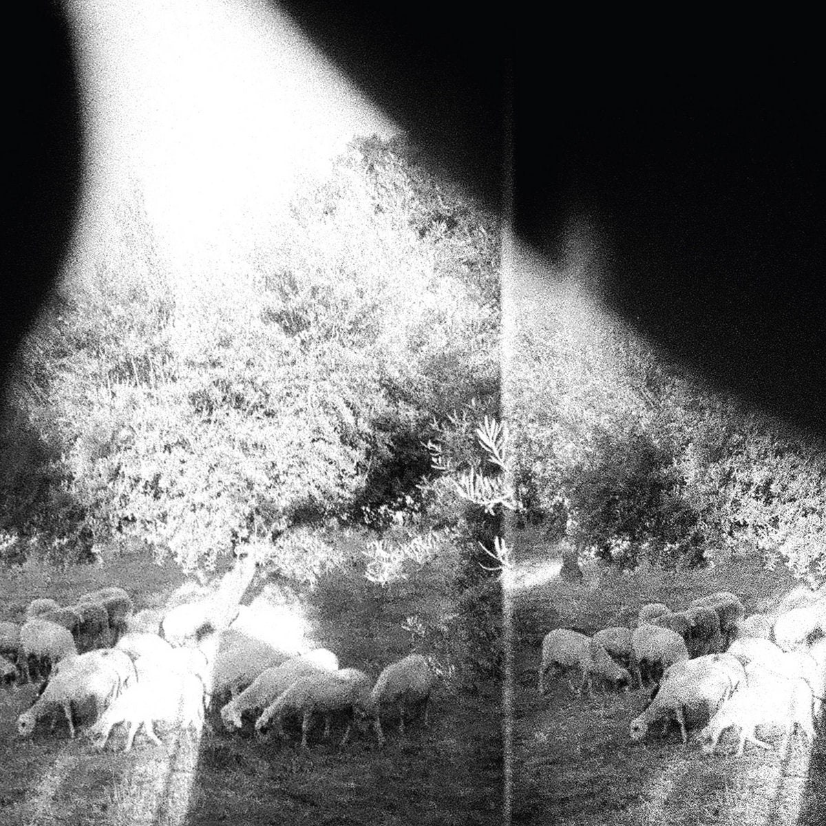 Godspeed You! Black Emperor: Asunder, Sweet And Other Distress: 180g Black Vinyl LP
