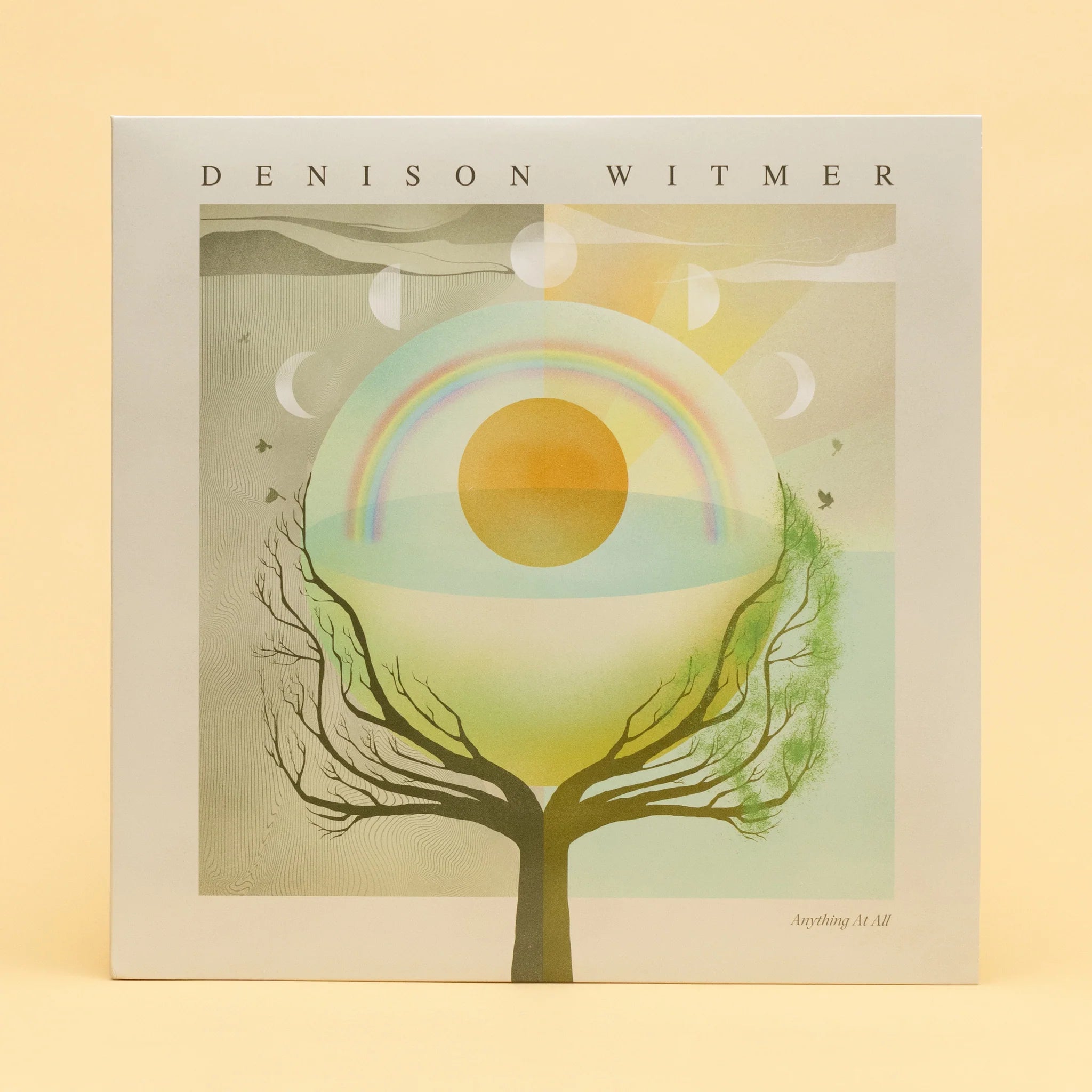 Denison Witmer: Anything At All: Coke Bottle Clear Vinyl LP - Steadfast Records