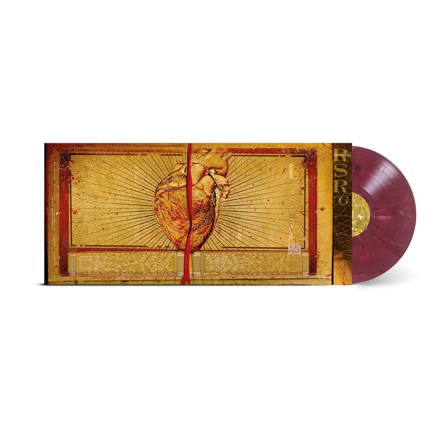 Further Seems Forever: Hide Nothing Burgundy Marble Vinyl LP (Import) - Steadfast Records