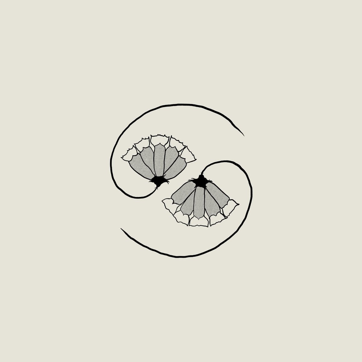 Godspeed You! Black Emperor: G_d's Pee AT STATE'S END!: 180g Black Vinyl LP + 10" - Steadfast Records