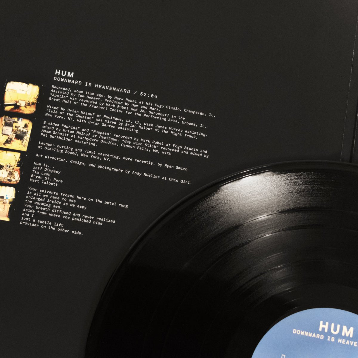 Hum: Downward is Heavenward: 2LP 180g Vinyl - Steadfast Records