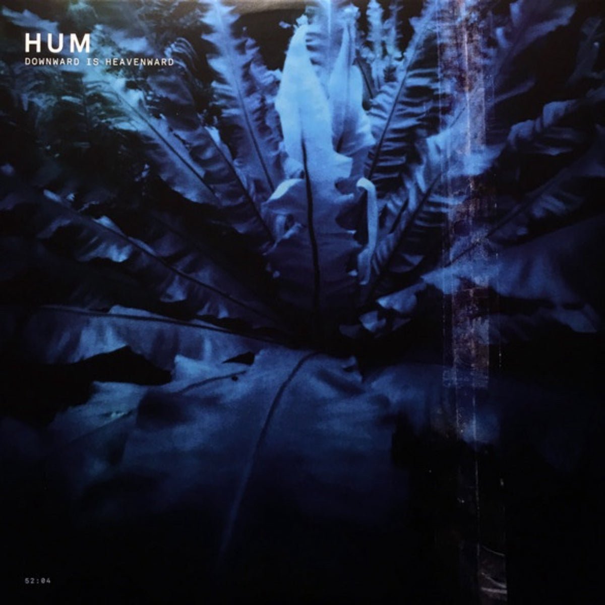 Hum: Downward is Heavenward: 2LP 180g Vinyl - Steadfast Records