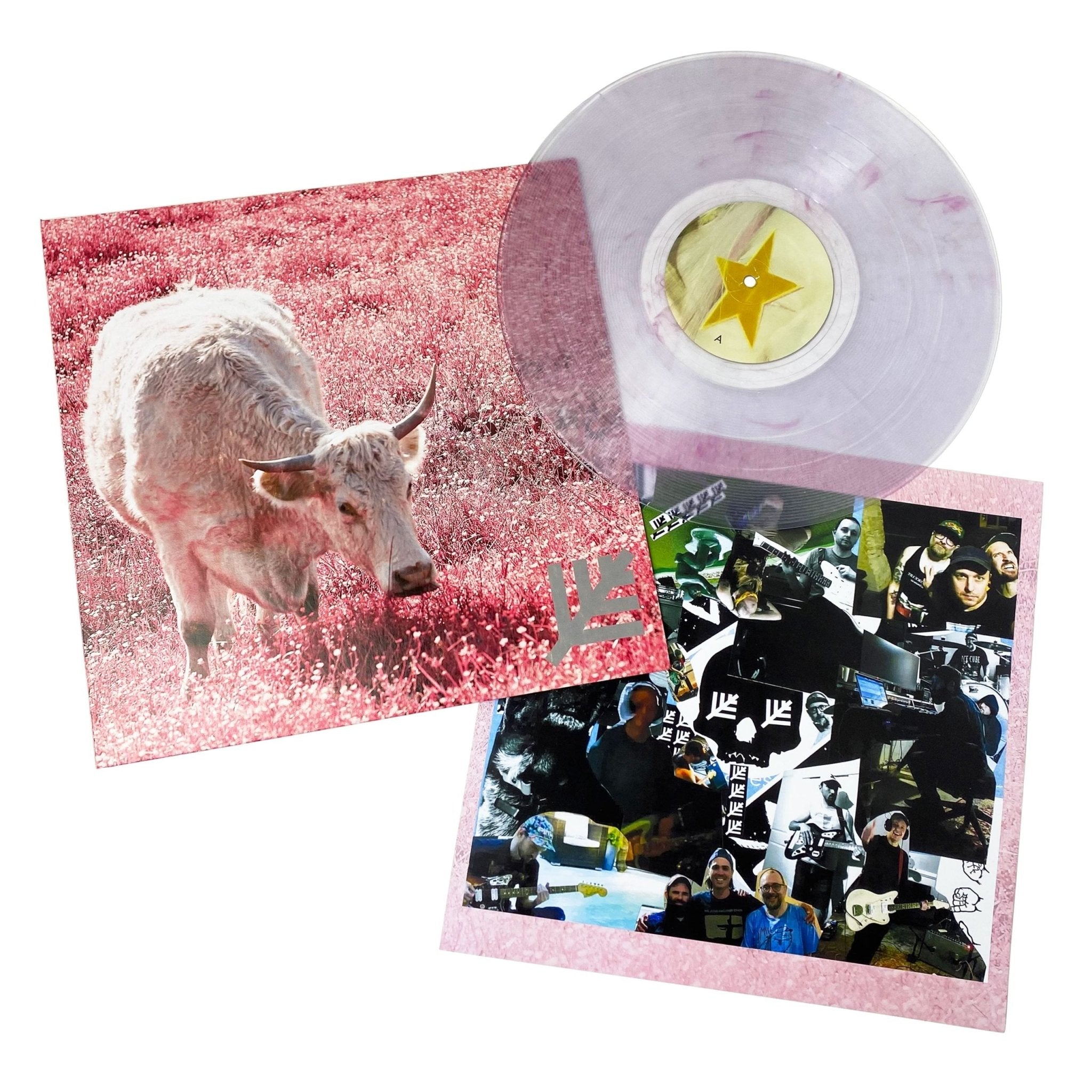 Lacing: Never: Clear w/Pink Smoke Vinyl - Steadfast Records
