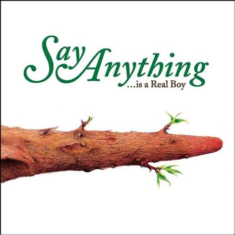 Say Anything: Is a Real Boy: 2LP Vinyl - Steadfast Records